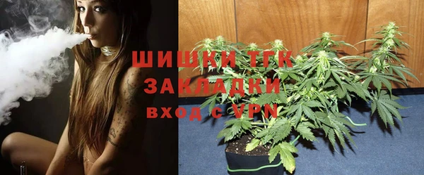 СК Верхний Тагил