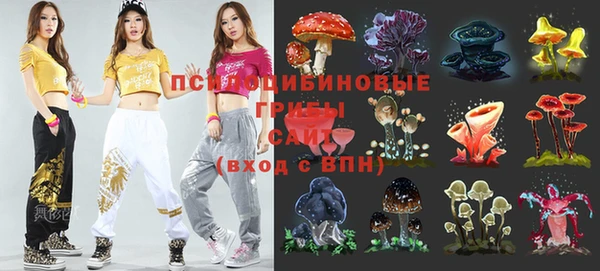 тгк Верея