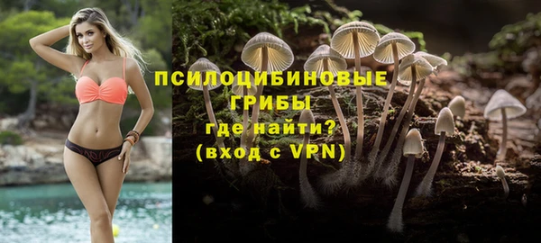 молекула духа Володарск